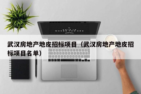 武汉房地产地皮招标项目(武汉房地产地皮招标项目名单)